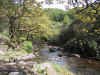Exmoor 008.jpg (213924 bytes)